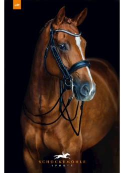 1111-00009 Venice Premium Double Bridle With Anatomic Headpiece