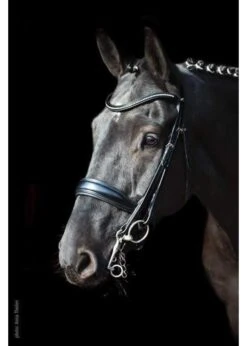 1111-00010 Schockemohle Milan Anatomic Double Bridle, Padded With Silver Hardware, Includes Two Browbands: Leather And Crystal 8 1111-00010 Schockemohle Milan Anatomic Double Bridle, Padded With Silver Hardware, Includes Two Browbands: Leather And Crystal -Equestrian Supply Store 1111 00010 schockemohle milan anatomic double brid 1