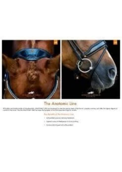 1111-00010 Schockemohle Milan Anatomic Double Bridle, Padded With Silver Hardware, Includes Two Browbands: Leather And Crystal 9 1111-00010 Schockemohle Milan Anatomic Double Bridle, Padded With Silver Hardware, Includes Two Browbands: Leather And Crystal -Equestrian Supply Store 1111 00010 schockemohle milan anatomic double brid 2