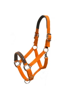 1311-00001 Schockemohle Memphis Nylon Halter -Equestrian Supply Store 1311 00001 schockemohle memphis nylon halter 2