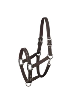 1311-00001 Schockemohle Memphis Nylon Halter -Equestrian Supply Store 1311 00001 schockemohle memphis nylon halter 5