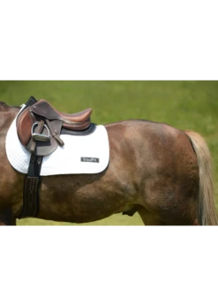 32960 Anatomical Pony Hunter Girth W/ T-Foam Liner