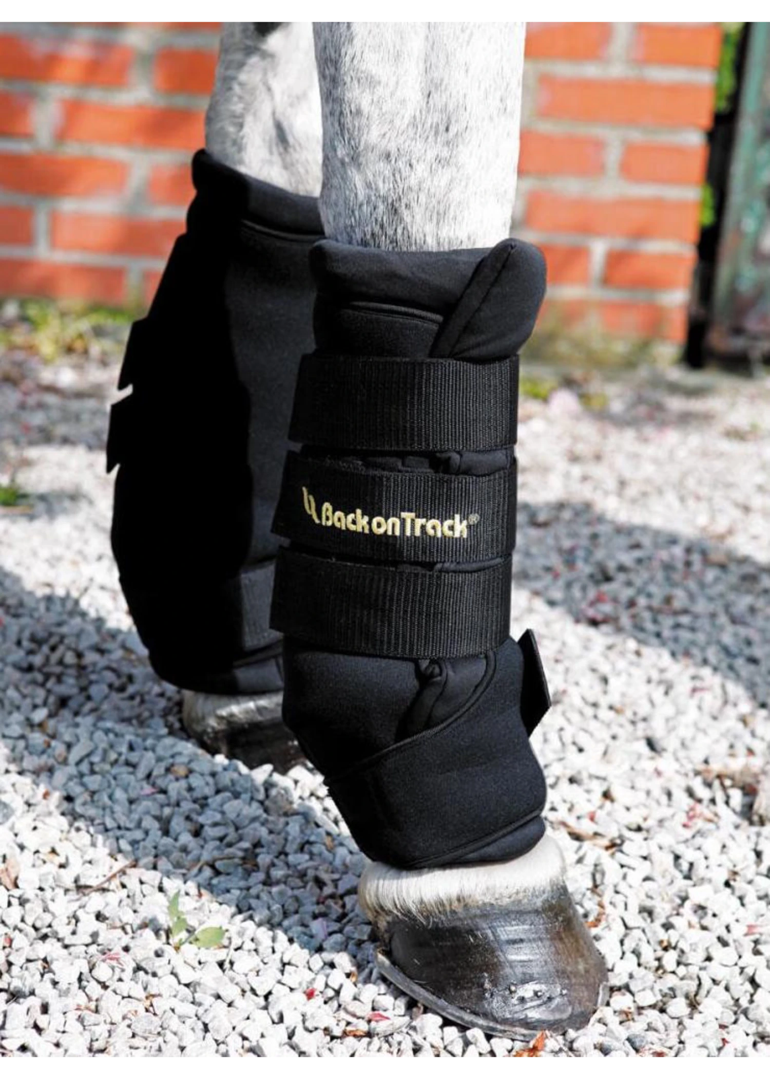 Back On Track Royal Quick Horse Wraps 3 Back On Track Royal Quick Horse Wraps