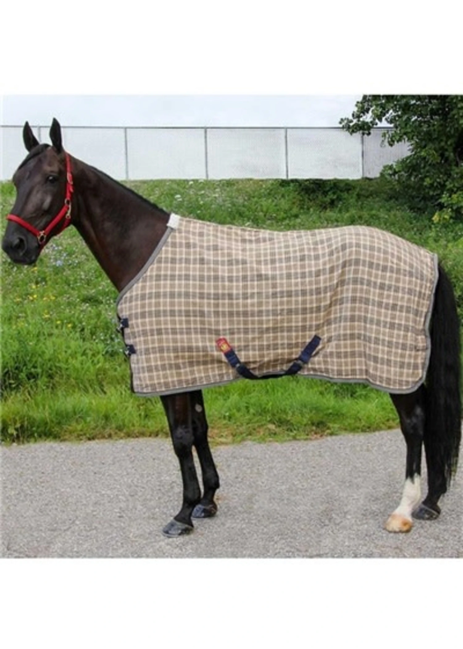 5/A Baker Deluxe Blanket 6 5/A Baker Deluxe Blanket - Image 4