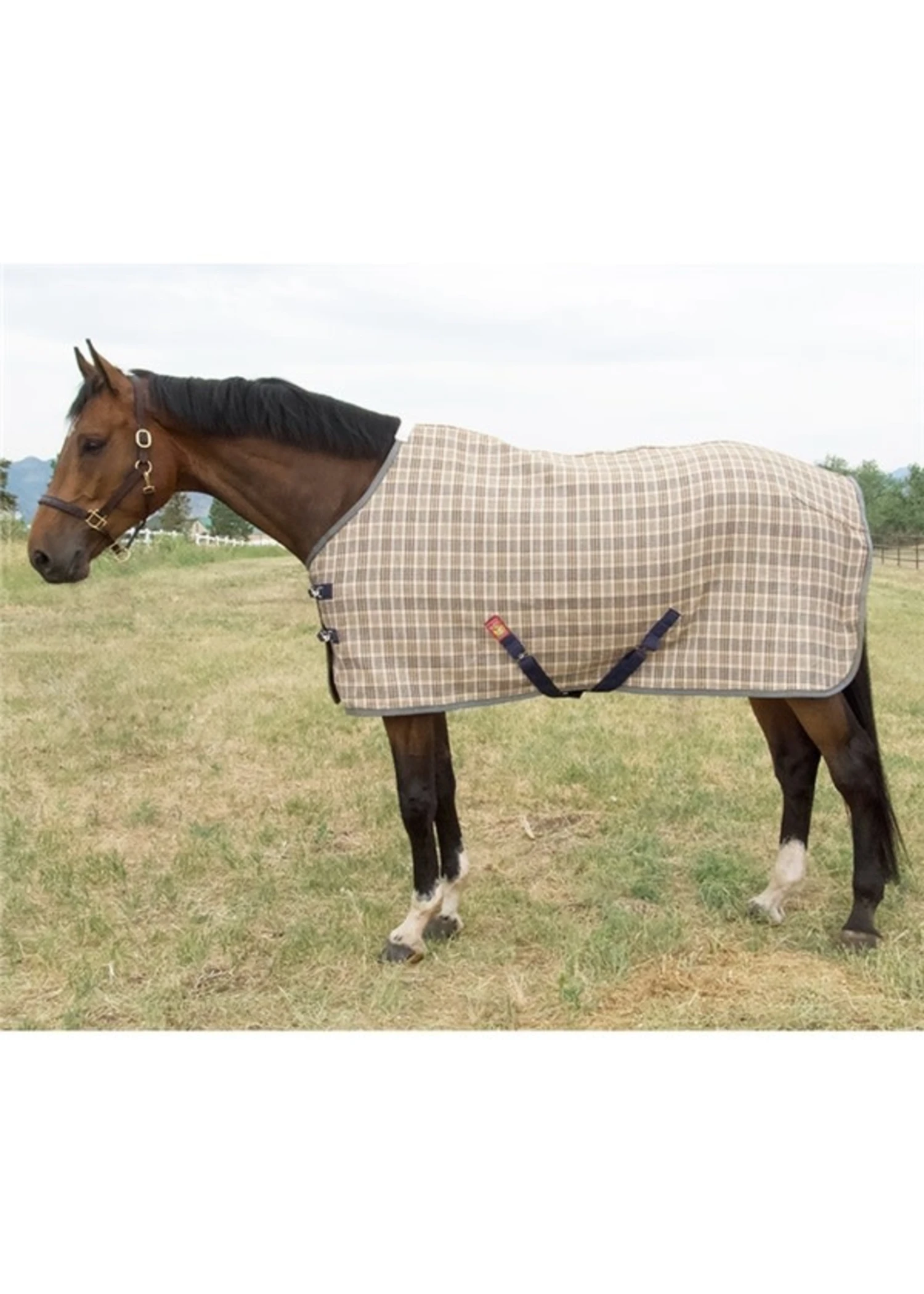 5/A Baker Deluxe Blanket 3 5/A Baker Deluxe Blanket