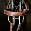 Beval Heritage Wide Caveson Hunter Bridle