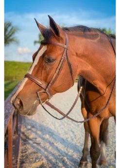 Beval Heritage Wide Caveson Hunter Bridle -Equestrian Supply Store beval beval heritage wide caveson hunter bridle 2
