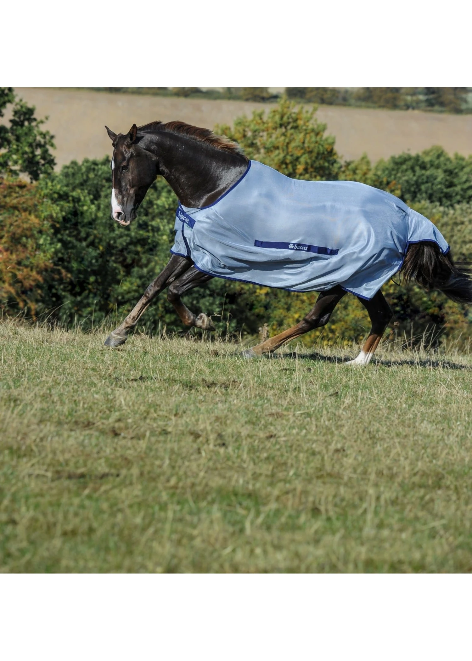 Bucas Buzz Off Fly Sheet 5 Bucas Buzz Off Fly Sheet - Image 3