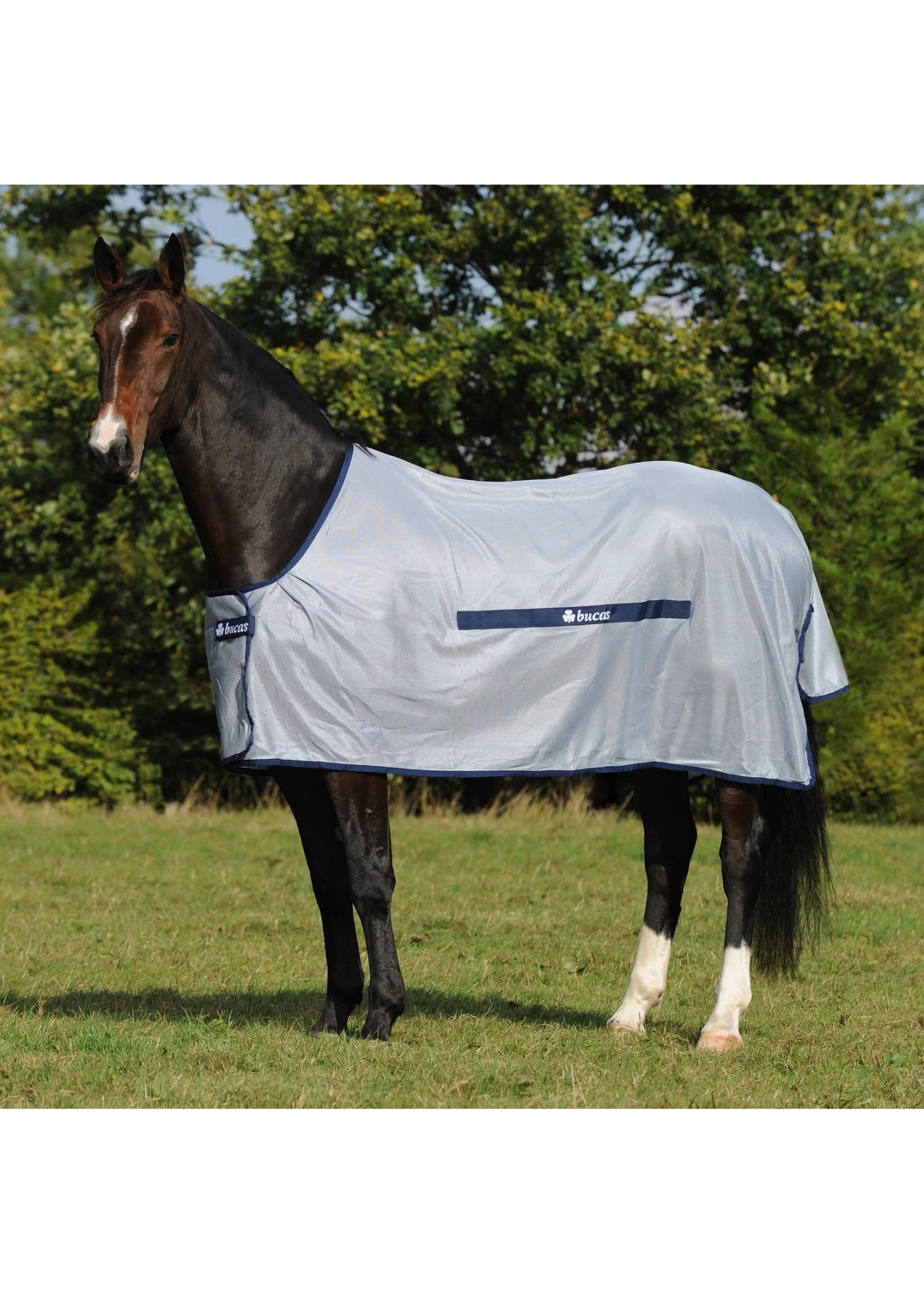 Bucas Buzz Off Fly Sheet 3 Bucas Buzz Off Fly Sheet