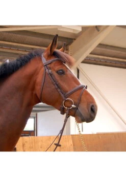 Butet Flash Bridle With Anatomic Headpiece