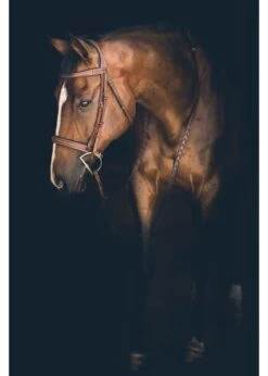 Butet Hunter Bridle -Equestrian Supply Store butet butet hunter bridle 1