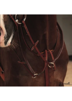 Butet Running Martingale
