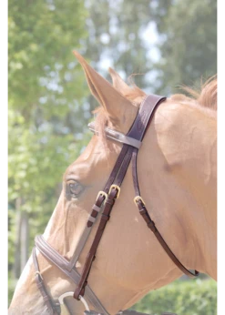 B100BBR Dy'on Anataomical Headpiece, Cheek Pieces And Throatlatch W/ Contrast Stitching, Brass Hardware