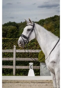 B144 *Special Order Dy'On Dressage Bridle W/ Medium Padded Crank Matt Black Noseband And Flash, Hook/ Std Cheekpieces, Stainless Hardware And Special Order V Shape Black Swarovski Browband