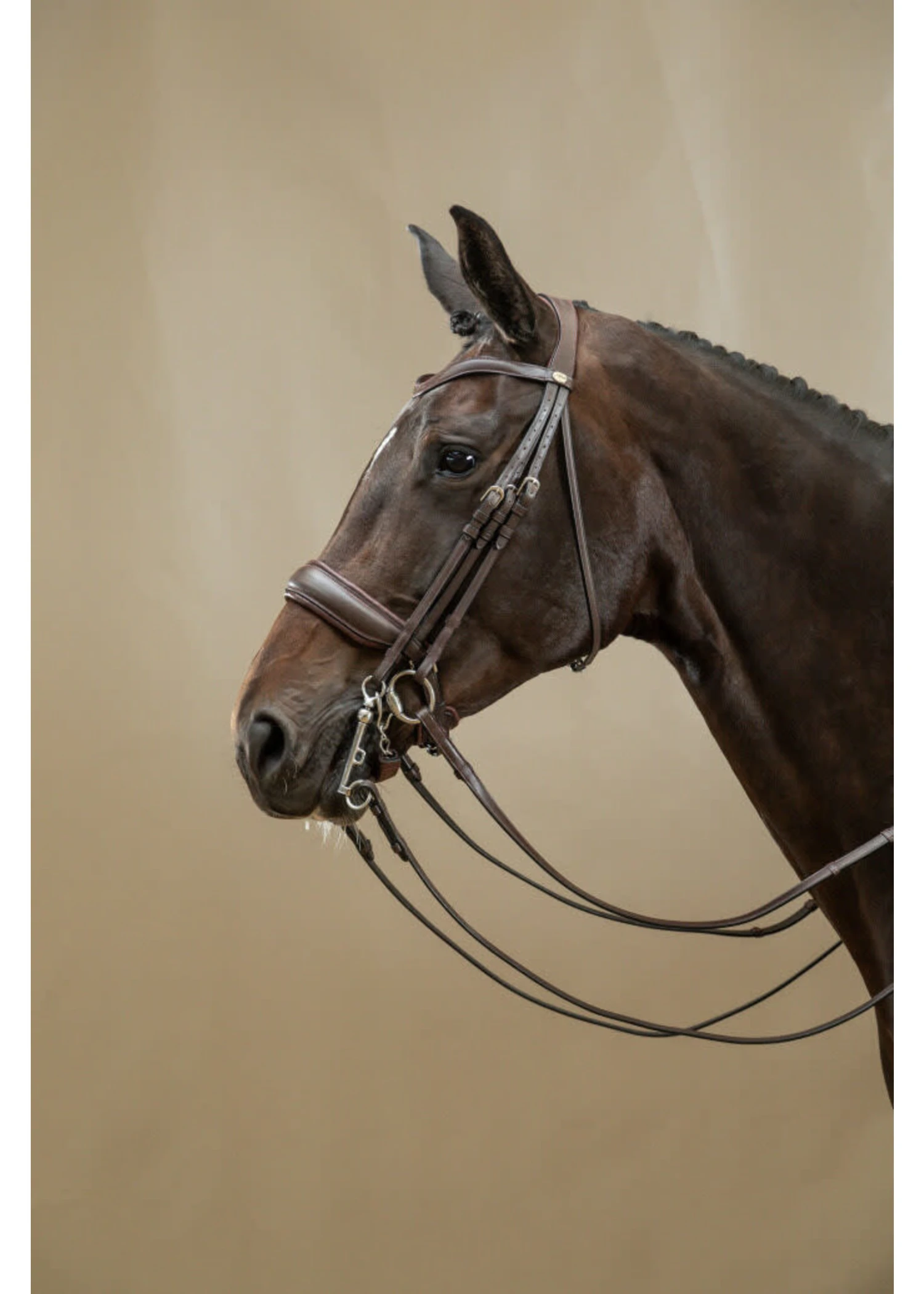 B168 Dy’on Working Collection Classic Crank Noseband Bridle 4 B168 Dy’on Working Collection Classic Crank Noseband Bridle - Image 2