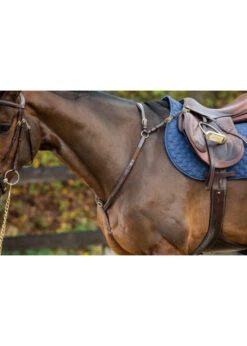 DY06D Dy'on D-Collection Bridge Breastplate