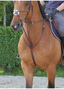 DY07G Dy'on Running Martingale W/ Cream Fancy Stitching W/Brass Hardware