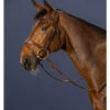 DYABAB Dy'on D-Collection Anatomic Flash Noseband Bridle -Equestrian Supply Store dyon dyabab dyon d collection anatomic flash noseb
