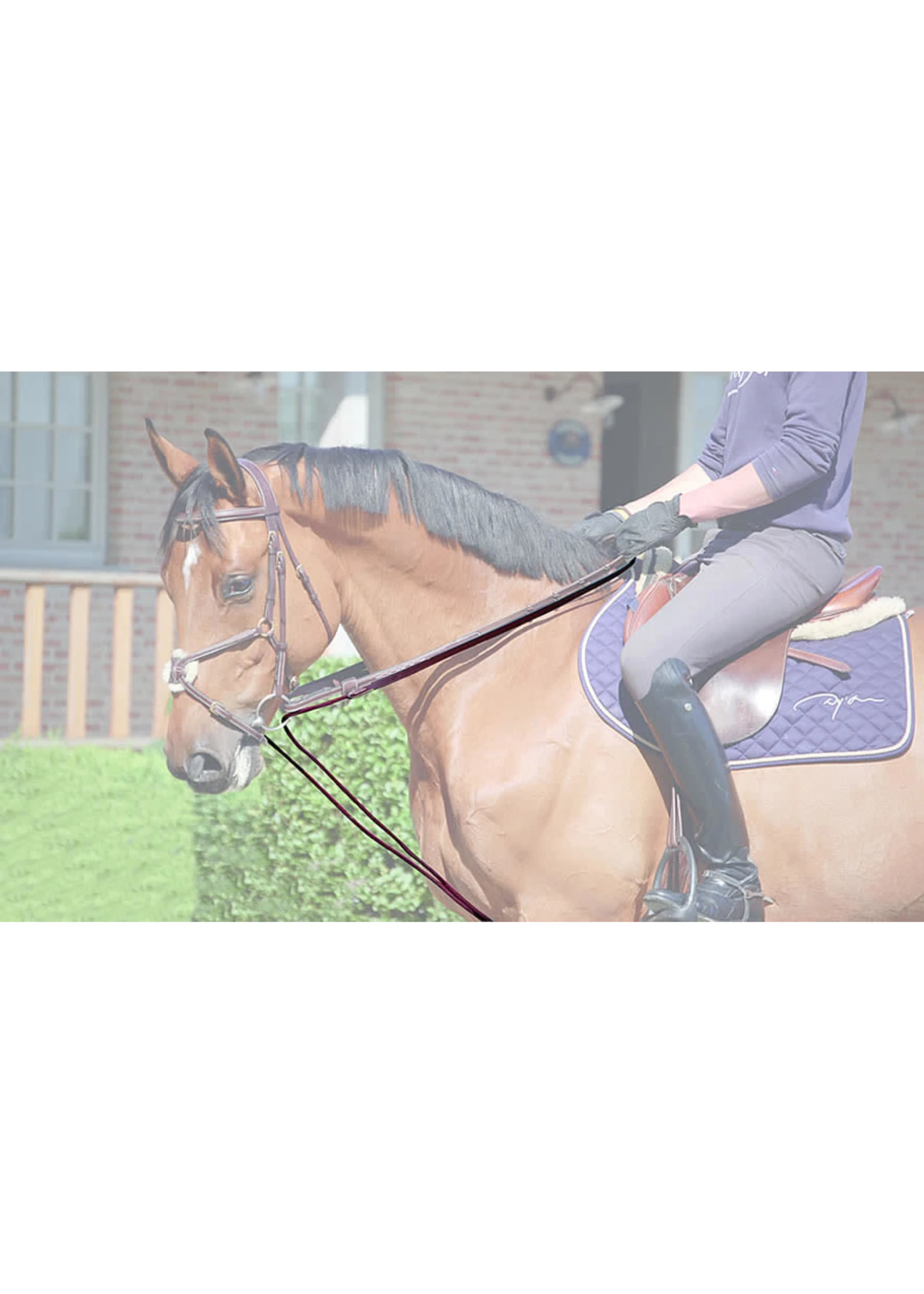 Dy’on D-Collection 5/8" Leather/Nylon Draw Reins 3 Dy’on D-Collection 5/8" Leather/Nylon Draw Reins