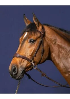 Dy'on D Motion Bridle -Equestrian Supply Store dyon dyon d motion bridle 2