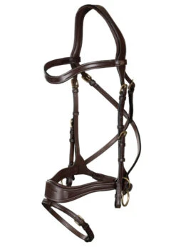 Dy'on D Motion Bridle