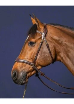 Dy'on D Motion Bridle -Equestrian Supply Store dyon dyon d motion bridle 3
