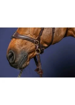 Dy'on D Motion Bridle -Equestrian Supply Store dyon dyon d motion bridle 4
