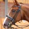 Dy'on Rolled Dressage Large Crank Noseband Double Bridle Matt Black Leather W/ White Padding -Equestrian Supply Store dyon dyon rolled dressage large crank noseband dou
