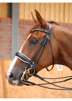 Dy'on Rolled Dressage Large Crank Noseband Double Bridle Matt Black Leather W/ White Padding