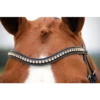 Dy'on V-Shape “Pink” Swarovski Browband -Equestrian Supply Store dyon dyon v shape pink swarovski browband