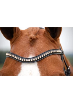 Dy'on V-Shape “Pink” Swarovski Browband