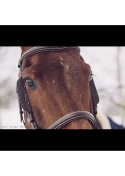 Dy'on Working Collection Focus Cheek Pieces -Equestrian Supply Store dyon dyon working collection focus cheek pieces 2