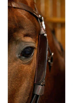 Dy'on Working Collection Focus Cheek Pieces