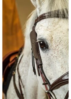 Dy'on Working Collection Focus Cheek Pieces -Equestrian Supply Store dyon dyon working collection focus cheek pieces 3