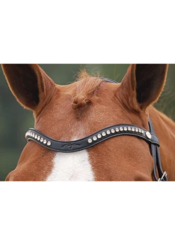 NE02H Dy’on Half Swarovski V-shape Browband W/Dy’On Stamp -Equestrian Supply Store dyon ne02h dyon half swarovski v shape browband w 1