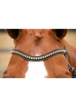 NE02I Dy'on V-Shape “Yellow Gold” Swarovski Browband