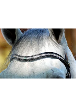 NE02K Dy’on “Double White” Swarovski Browband.