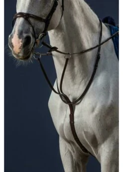 NE07G Dy'on Running Martingale W/ Cream Fancy Stitching W/ Steel Hardware