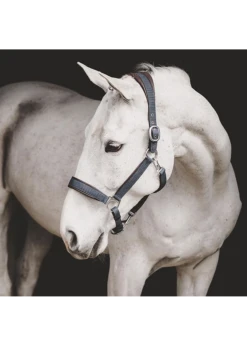 NE09A Dy'on Leather Halter -Equestrian Supply Store dyon ne09a dyon leather halter 2