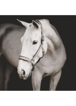 NE09A Dy'on Leather Halter