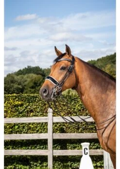 *Special Order Dy'on Rolled Dressage Large Crank Noseband Double Bridle Patent Black Leather W/ White Padding And Special Order V Shape Pink Swarovski Browband