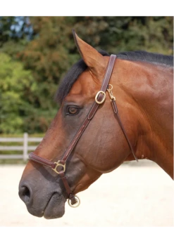 Equestrian Supply Store -Equestrian Supply Store dyon wo09b dyon fancy leather grooming halter 1