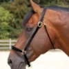 WO09B Dy'on Fancy Leather Grooming Halter