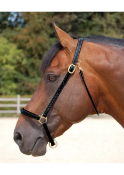 WO09B Dy'on Fancy Leather Grooming Halter