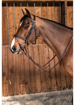 WOAAHL Dy’on Working Collection Flash Noseband Bridle -Equestrian Supply Store dyon woaahl dyon working collection flash noseband 2