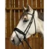 WODCAM Dy'on Flat Leather Dressage Snaffle Bridle -Large Crank Flash Noseband Bridle, Black Padding. Reins Sold Separately. -Equestrian Supply Store dyon wodcam dyon flat leather dressage snaffle bri