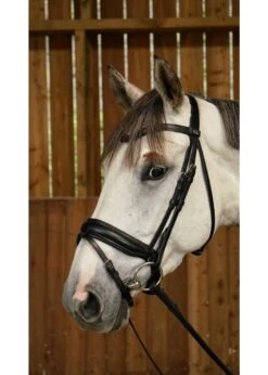 WODCAM Dy'on Flat Leather Dressage Snaffle Bridle -Large Crank Flash Noseband Bridle, Black Padding. Reins Sold Separately. -Equestrian Supply Store dyon wodcam dyon flat leather dressage snaffle bri 2