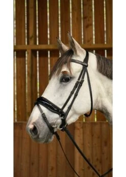 WODCAM Dy'on Flat Leather Dressage Snaffle Bridle -Large Crank Flash Noseband Bridle, Black Padding. Reins Sold Separately.