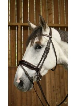 WODCAM Dy'on Flat Leather Dressage Snaffle Bridle -Large Crank Flash Noseband Bridle, Black Padding. Reins Sold Separately. -Equestrian Supply Store dyon wodcam dyon flat leather dressage snaffle bri 4