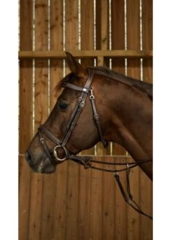 WOJBHA Dy’on Working Collection Fancy Flash Noseband Bridle -Equestrian Supply Store dyon wojbha dyon working collection fancy flash no 1